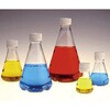 4113-0125 滅菌三角フラスコ ノーマルキャップ Thermo Scientific Nalgene 62065615