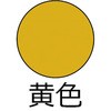 62098523