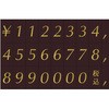 62118902