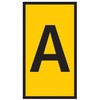 62154954