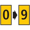 62155146
