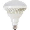 LDR20D-H LEDランプ20W 投光器用 モノタロウ 62426036