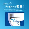 1009109 業務用 トイレ黒ずみ取り アイメディア 62429125