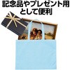 11423 カラー不織布バッグ 水色 アーテック[学校教材・教育玩具] 62455526