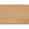 FLD-953MO Faliss ؐfXN 120cm RCY~t@jebN 62515584