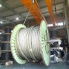 GRS-22S2 玉掛けワイヤロープスリングWスリング ソフトタイプ TRUSCO 62537878