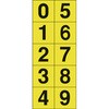 62540066