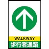 62546104