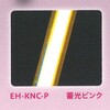 EH-KNC-P mbNS [_[mbN SEED(V[h) 62566275