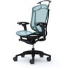 CC82ZR FPG6 コンテッサセコンダ、可動肘、ハイバック、座メッシュ、ハンガー付、ランバー無、ブラックB、ブラック、脚ブラック、ウレタン オカムラ(岡村製作所) 62568110