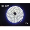 LEDe[vCg 1A F(5m) DC12V