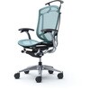 CC42BR FPG6 コンテッサセコンダ，固定肘，座メッシュ，ハイバック5本脚，ポリッシュ，ブラック，ランバー無ハンガー付 オカムラ(岡村製作所) 62573010