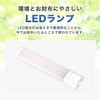 FPL27LED-N LED FPLv GRfoCX 62574068