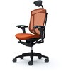 CC8CZR FPD8 コンテッサセコンダ、可動肘、可動ヘッド、座クッション、ハンガー無、ランバー無、ブラックB、ブラック、脚ブラック、ウレタン オカムラ(岡村製作所) 62574297