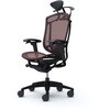 CC8BZS FPG8 コンテッサセコンダ、可動肘、可動ヘッド、座メッシュ、ハンガー付、ランバー付、ブラックB、ブラック、脚ブラック、ウレタン オカムラ(岡村製作所) 62577928