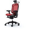 CC8BZS FPG9 コンテッサセコンダ、可動肘、可動ヘッド、座メッシュ、ハンガー付、ランバー付、ブラックB、ブラック、脚ブラック、ウレタン オカムラ(岡村製作所) 62577937