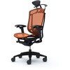 CC8BZS FPH8 コンテッサセコンダ、可動肘、可動ヘッド、座メッシュ、ハンガー付、ランバー付、ブラックB、ブラック、脚ブラック、ウレタン オカムラ(岡村製作所) 62577964