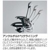 CC4AZR FPG2 コンテッサセコンダ、固定肘、可動ヘッド、座メッシュ、ハンガー無、ランバー無、ブラックB、ブラック、脚ブラック、ウレタン オカムラ(岡村製作所) 62582390