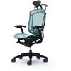 CC4BZS FPG6 コンテッサセコンダ、固定肘、可動ヘッド、座メッシュ、ハンガー付、ランバー付、ブラックB、ブラック、脚ブラック、ウレタン オカムラ(岡村製作所) 62585269