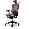 CC4BZS FPG8 コンテッサセコンダ、固定肘、可動ヘッド、座メッシュ、ハンガー付、ランバー付、ブラックB、ブラック、脚ブラック、ウレタン オカムラ(岡村製作所) 62585287