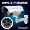 36596 防犯ダミーカメラ ステッカー付 アーテック[学校教材・教育玩具] 62586548
