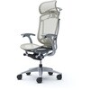 CC46YE FPG2 コンテッサセコンダ、固定肘、固定ヘッド、座メッシュ、ハンガー付、ランバー付、グレーB、シルバー、脚シルバー、ウレタン オカムラ(岡村製作所) 62587956
