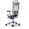 CC46YS FPG3 コンテッサセコンダ、固定肘、固定ヘッド、座メッシュ、ハンガー付、ランバー付、ブラックB、シルバー、脚シルバー、ウレタン オカムラ(岡村製作所) 62588096