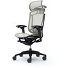 CC86ZS FPG2 コンテッサセコンダ、可動肘、固定ヘッド、座メッシュ、ハンガー付、ランバー付、ブラックB、ブラック、脚ブラック、ウレタン オカムラ(岡村製作所) 62589557