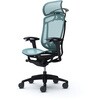CC86ZS FPG6 コンテッサセコンダ、可動肘、固定ヘッド、座メッシュ、ハンガー付、ランバー付、ブラックB、ブラック、脚ブラック、ウレタン オカムラ(岡村製作所) 62589600