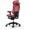 CC86ZS FPG9 コンテッサセコンダ、可動肘、固定ヘッド、座メッシュ、ハンガー付、ランバー付、ブラックB、ブラック、脚ブラック、ウレタン オカムラ(岡村製作所) 62589627