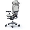 CC46XS FPG3 コンテッサセコンダ、固定肘、固定ヘッド、座メッシュ、ハンガー付、ランバー付、ブラックB、ポリッシュ、脚ポリッシュ、ウレタン オカムラ(岡村製作所) 62593249