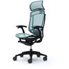 CC45ZS FPG6 コンテッサセコンダ、固定肘、固定ヘッド、座メッシュ、ハンガー無、ランバー付、ブラックB、ブラック、脚ブラック、ウレタン オカムラ(岡村製作所) 62595735