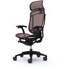 CC45ZS FPG8 コンテッサセコンダ、固定肘、固定ヘッド、座メッシュ、ハンガー無、ランバー付、ブラックB、ブラック、脚ブラック、ウレタン オカムラ(岡村製作所) 62595760