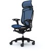 CC85ZR FPG4 コンテッサセコンダ、可動肘、固定ヘッド、座メッシュ、ハンガー無、ランバー無、ブラックB、ブラック、脚ブラック、ウレタン オカムラ(岡村製作所) 62598815