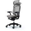 CC48ZR FPD2 コンテッサセコンダ、固定肘、固定ヘッド、座クッション、ハンガー付、ランバー無、ブラックB、ブラック、脚ブラック、ウレタン オカムラ(岡村製作所) 62601344