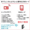 DHA-SIM-151 DHA SIM for Global グローバル104か国周遊 30日 5GB プリペイドデータSIMカード DHA Corporation 62736548