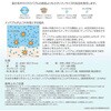 62849529,62849538