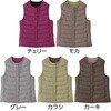 821961-53 821961 yʃo[Vu_ExXg PAt@bV 62888230