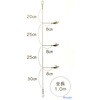 62918688,62918697,62918706
