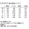 62921174,62921190,62921199,62921208,62921217,62921226