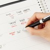 ビクーニャEX替え芯0.5 ぺんてる