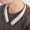 AT-NSP300BT CXlbNXs[J[ audio-technica 62931357