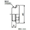 RP2BGL16N SUS製六角形プラグ 三桂製作所 62950048