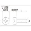 BRENY-PHM3X5 十字穴付ナベ小ネジ (ガラス繊維強化ポリアミドMXD6 RENY・全ねじ) TRUSCO 63053839