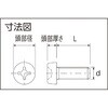 BPEEK-PHM3X10 十字穴付ナベ小ネジ (ポリエーテルエーテルケトン PEEK・全ねじ) TRUSCO 63054855