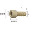 BPEEK-CBM3X10 六角穴付ボルト (ポリエーテルエーテルケトン PEEK・全ねじ) TRUSCO 63055293