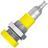 23.0110-24 4mm\Pbg Xg[u / }`R^Ng 63146266