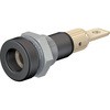 23.0190-21 4mm\Pbg Xg[u / }`R^Ng 63146336