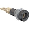 23.0190-21 4mm\Pbg Xg[u / }`R^Ng 63146336