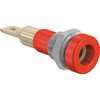23.0190-22 4mm\Pbg Xg[u / }`R^Ng 63146345